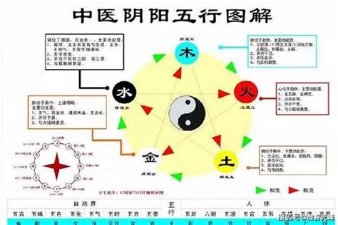 八字看疾病|「八字」看身体健康的思路